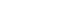 partner 2